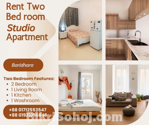 Furnished 2 Bedroom Studio Apartment RENT in Baridhara.